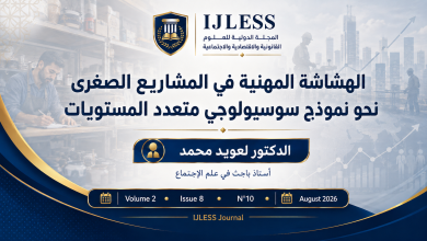 الهشاشة المهنية في المشاريع الصغرى: نحو نموذج سوسيولوجي متعدد المستويات